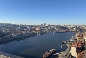 Porto: Guidad stadsvandring med höjdpunkter