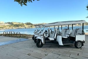 Porto: Guided Tuk Tuk Tour