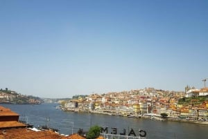 Porto: Wycieczka z przewodnikiem i księgarnia Lello