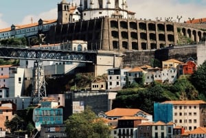 Porto: Halvdagsutflykt i liten grupp från hamnen