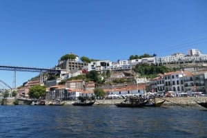 Porto Halbtagestour und Weinverkostung