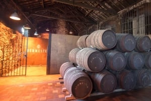 Porto: excursão de meio dia com visita e prova de vinho do Porto