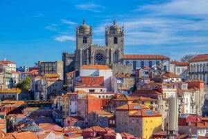 Porto: excursão de meio dia com visita e prova de vinho do Porto