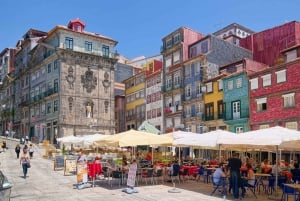 Porto: excursão de meio dia com visita e prova de vinho do Porto
