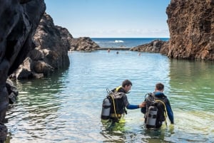 Porto Moniz: Duiken met haaien en roggen in het Madeira Aquarium