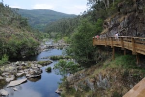Porto: Paiva Walkways og 516 Arouca Bridge Privat tur
