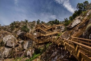 Porto: Paiva Walkways og 516 Arouca Bridge Privat tur