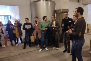 Порту: Пешеходная экскурсия с дегустацией портвейна и вин Дору