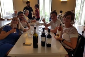 Порту: Пешеходная экскурсия с дегустацией портвейна и вин Дору