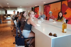 Порту: Пешеходная экскурсия с дегустацией портвейна и вин Дору