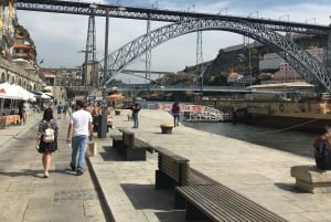 Porto + port cellar visit and tasting + sardine factory tour