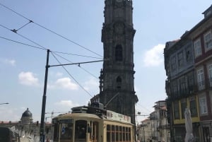 Porto + port cellar visit and tasting + sardine factory tour