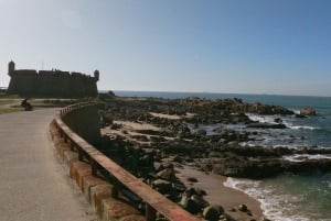 Porto + port cellar visit and tasting + sardine factory tour