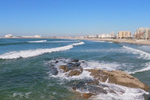 Porto + port cellar visit and tasting + sardine factory tour