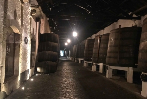 Porto + port cellar visit and tasting + sardine factory tour