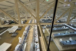 Porto + port cellar visit and tasting + sardine factory tour