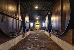 Porto: Besøg i portvinkælder og vinprøvesmagning hos Fonseca