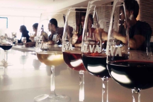 Porto : Visite du porto avec 7 dégustations de porto