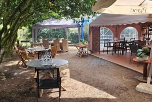 Porto: tour premium della Valle del Douro per piccoli gruppi, crociera e pranzo