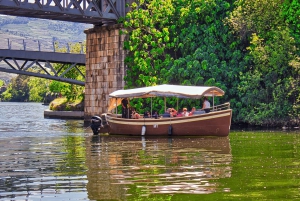 Porto: tour premium della Valle del Douro per piccoli gruppi, crociera e pranzo