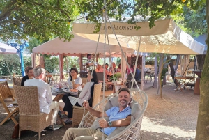 Porto: tour premium della Valle del Douro per piccoli gruppi, crociera e pranzo