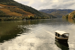 Porto: tour premium della Valle del Douro per piccoli gruppi, crociera e pranzo