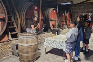Porto: tour premium della Valle del Douro per piccoli gruppi, crociera e pranzo