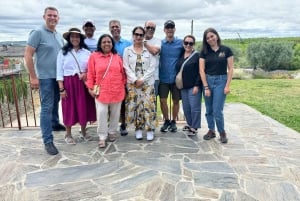 Porto: tour premium della Valle del Douro per piccoli gruppi, crociera e pranzo