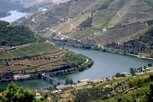 Porto: tour premium della Valle del Douro per piccoli gruppi, crociera e pranzo