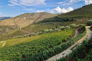 Porto: tour premium della Valle del Douro per piccoli gruppi, crociera e pranzo