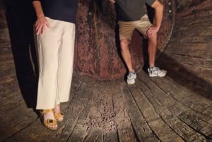 Porto: tour premium della Valle del Douro per piccoli gruppi, crociera e pranzo