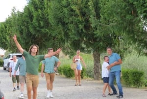 Porto: tour premium della Valle del Douro per piccoli gruppi, crociera e pranzo