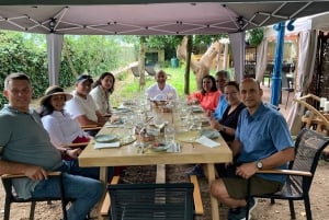 Porto: tour premium della Valle del Douro per piccoli gruppi, crociera e pranzo