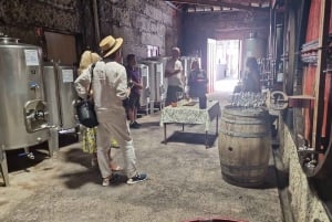 Porto: tour premium della Valle del Douro per piccoli gruppi, crociera e pranzo