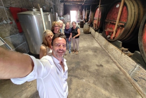 Porto: tour premium della Valle del Douro per piccoli gruppi, crociera e pranzo