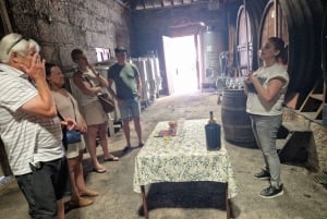 Porto: tour premium della Valle del Douro per piccoli gruppi, crociera e pranzo