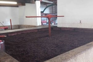 Porto: tour premium della Valle del Douro per piccoli gruppi, crociera e pranzo