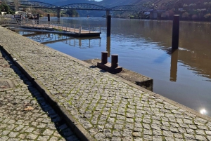Porto: tour premium della Valle del Douro per piccoli gruppi, crociera e pranzo
