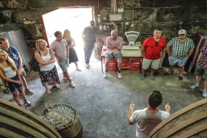 Porto: tour premium della Valle del Douro per piccoli gruppi, crociera e pranzo