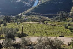 Porto: tour premium della Valle del Douro per piccoli gruppi, crociera e pranzo