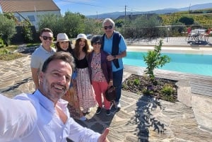 Porto: tour premium della Valle del Douro per piccoli gruppi, crociera e pranzo