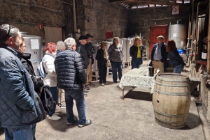 Porto: tour premium della Valle del Douro per piccoli gruppi, crociera e pranzo