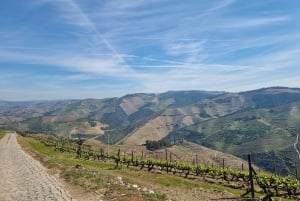 Porto: tour premium della Valle del Douro per piccoli gruppi, crociera e pranzo