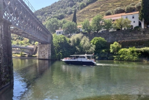 Porto: tour premium della Valle del Douro per piccoli gruppi, crociera e pranzo