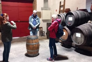 Porto: tour premium della Valle del Douro per piccoli gruppi, crociera e pranzo