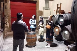 Porto: tour premium della Valle del Douro per piccoli gruppi, crociera e pranzo