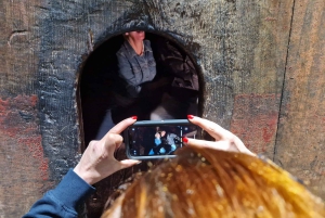 Porto: tour premium della Valle del Douro per piccoli gruppi, crociera e pranzo