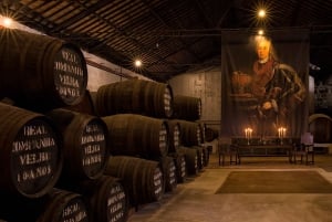 Porto: Premium Tour på Real Companhia Velha