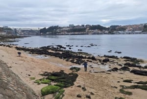 Visite privée de Porto l'après-midi, par ceux qui la connaissent bien.