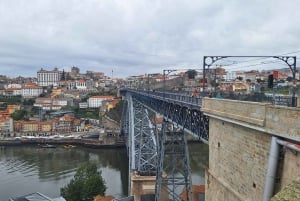Visite privée de Porto l'après-midi, par ceux qui la connaissent bien.